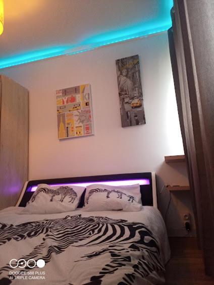 Le Gite "Manhattan Studio" Besancon Proche Centre Commerce Luaran gambar